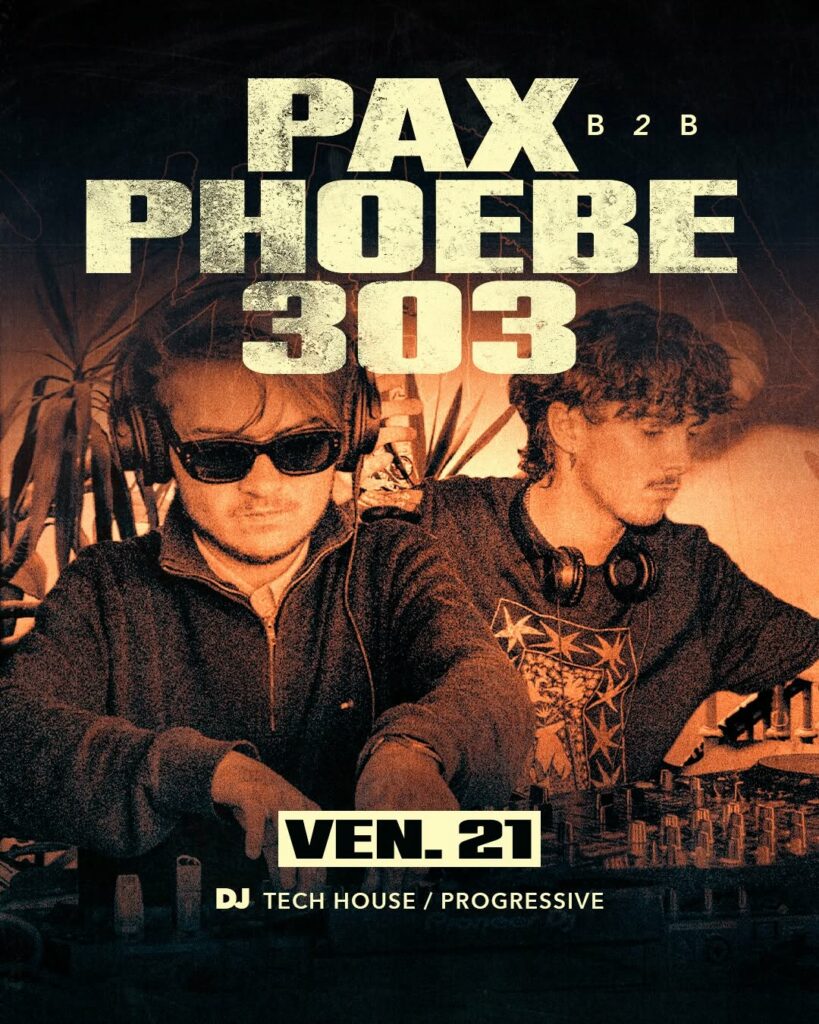 pax phoebe